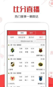 2024澳门天天开好彩大全53期，数据资料解释落实_ios84.70.92