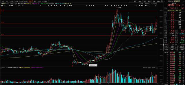 2024澳门特马今晚开奖240期,特有解答解释落实_完美款31.431