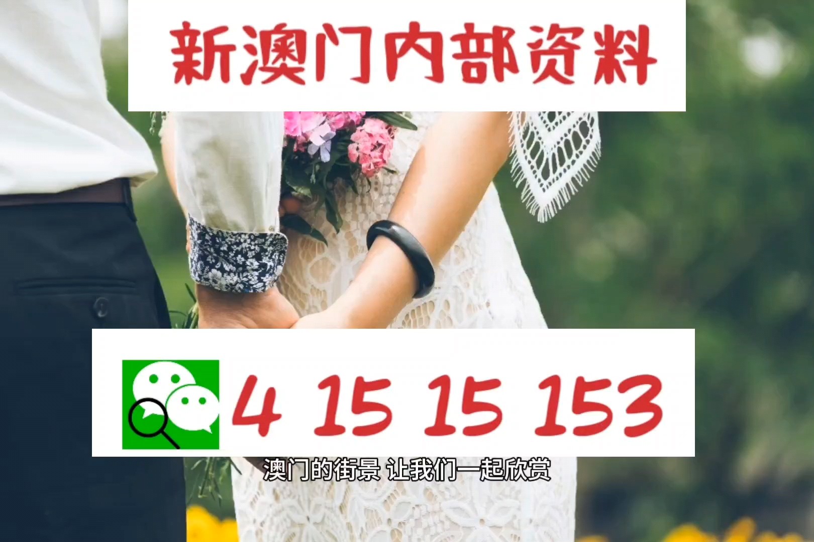 澳门今晚特马预测及简易版分析_CSJ470.72