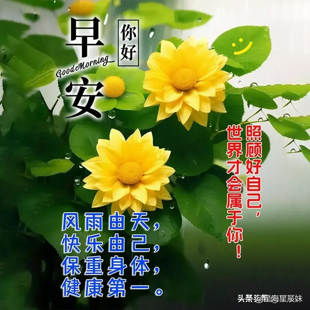 2024天天彩全年免费资料，正确解答定义_旗舰版78.89.86