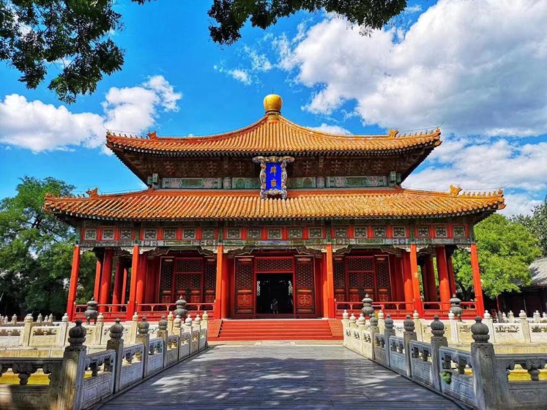 北京市公园年票停售引发市民热议，小杨与友情的温馨故事展开。