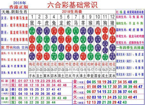 澳门正版资料大全资料生肖卡,全面解答解析_加强版BFP120.58