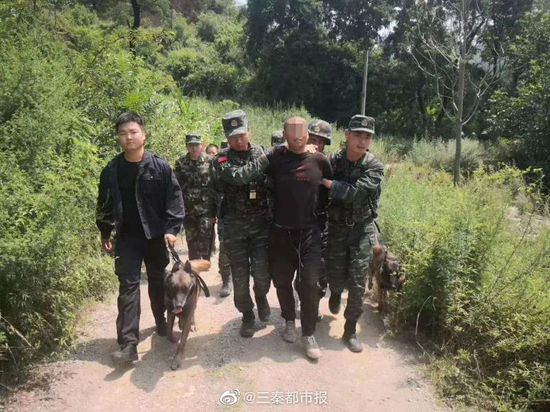河北村庄发生刑案致3人死亡事件，应对与防范的详细步骤指南