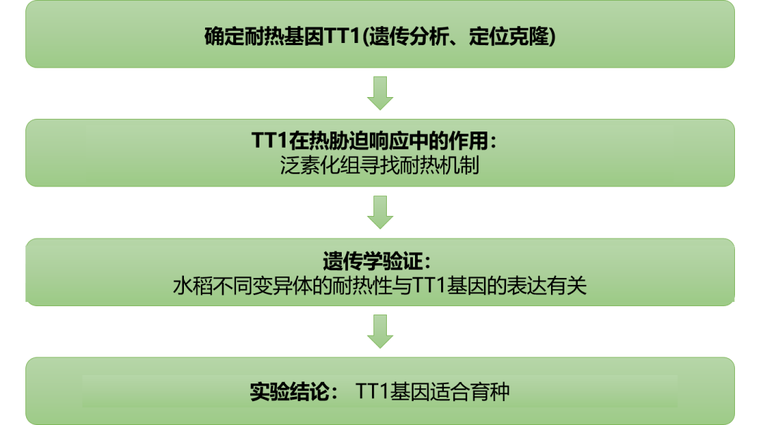 2024新澳免费资料大全,安全性策略解析_直观版SKA917.72