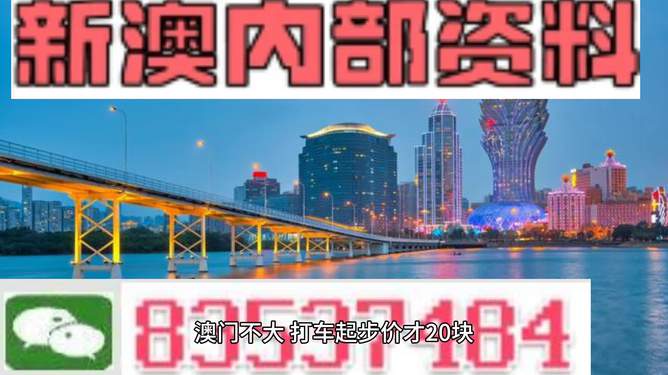 新澳精准资料内部资料,专业执行问题_原创版KFS417.07