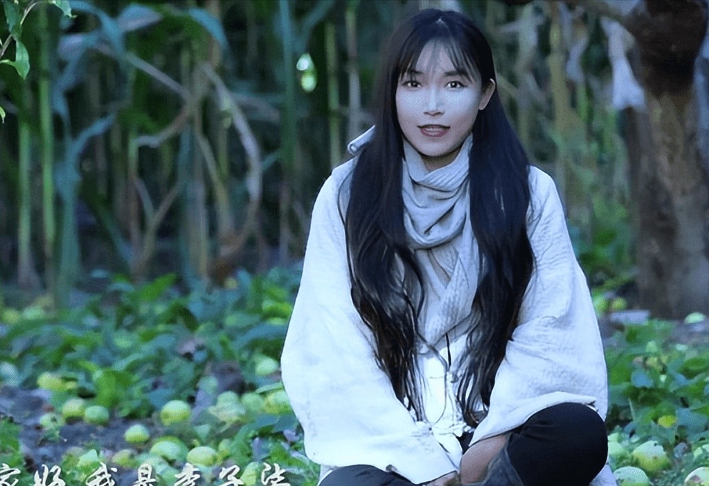 李子柒团队