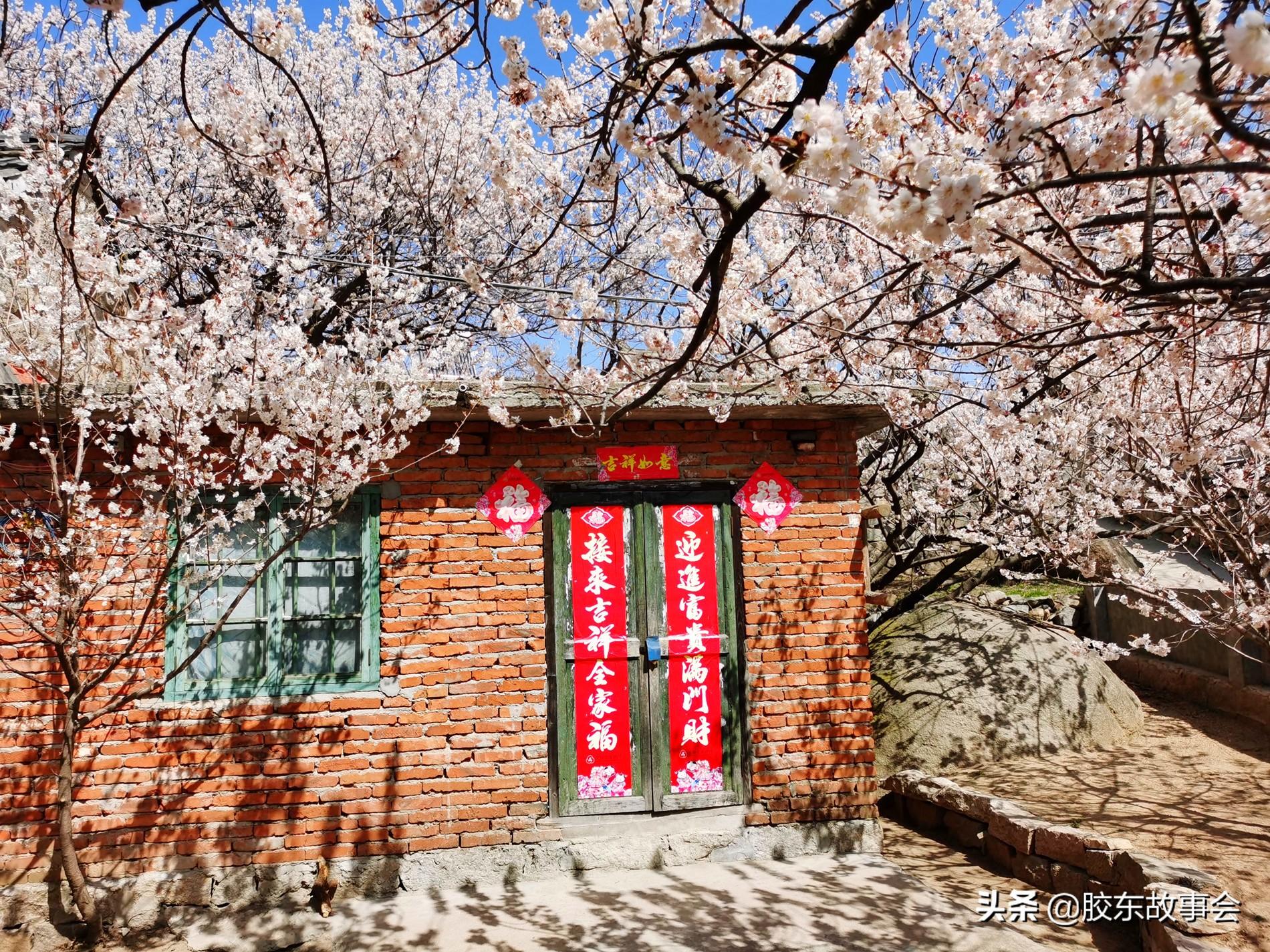 樱桃在线观看，自然美景之旅，探寻内心的平静与喜悦