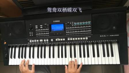 雅马哈最新电子琴，科技与音乐的完美融合之作