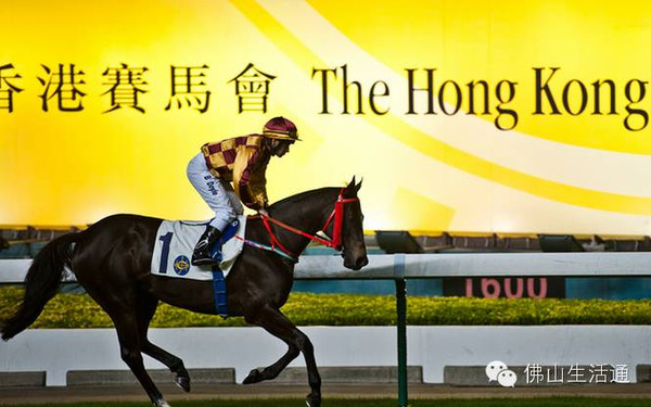 香港马会最新公告通知