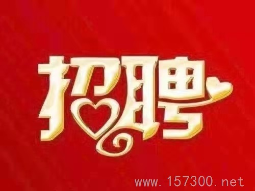 绥芬河招聘网最新招聘，科技重塑招聘体验，引领未来职业发展之路