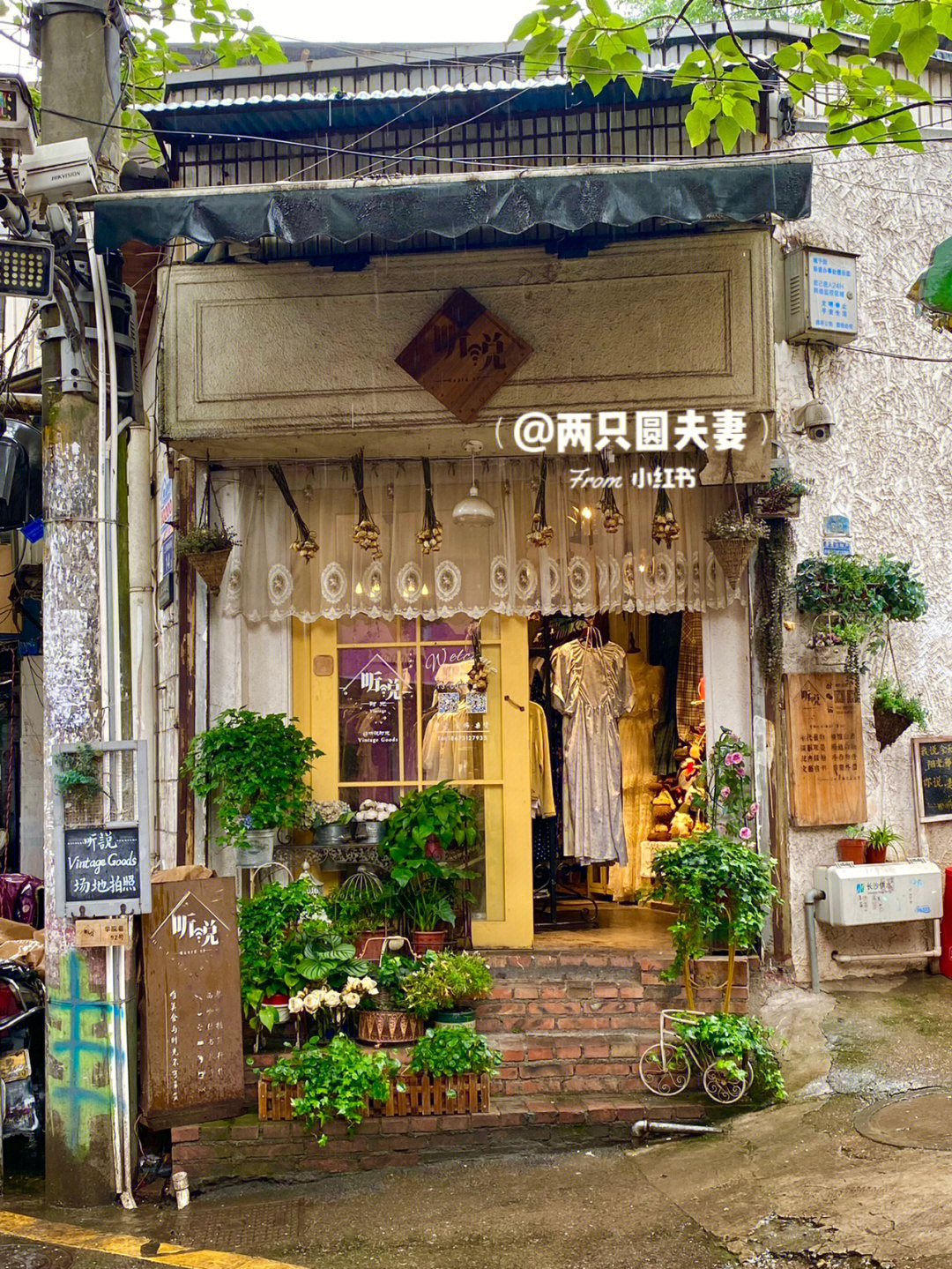 微信下载最新，巷弄深处的独特小店探秘之旅
