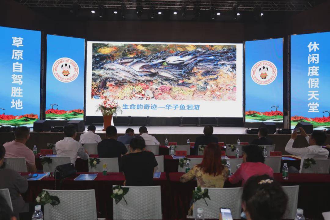乘风破浪开启成功之旅，最新商机等你来探索