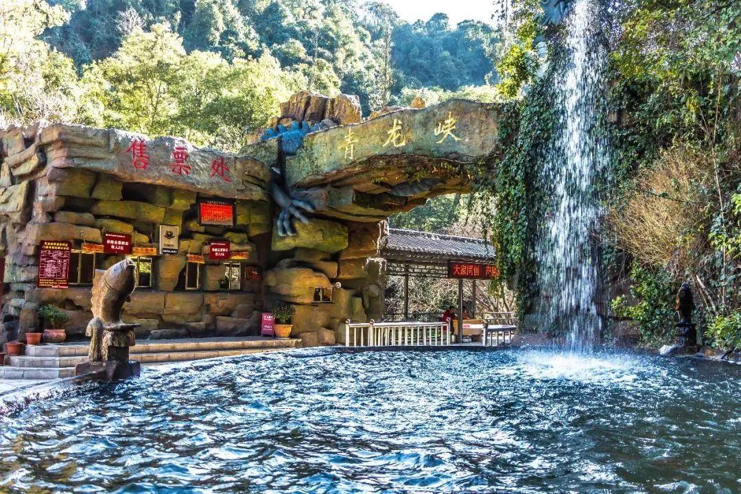 柴油价调整最新动态与绿色之旅，探寻内心平静的宝藏地