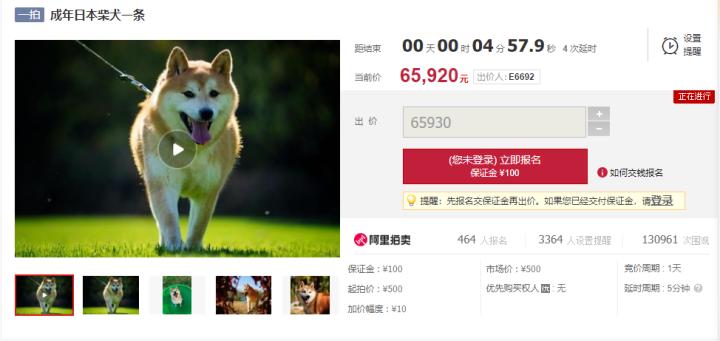 澳门王中王100%期期准,专家权威解答_QZI37.613商务版