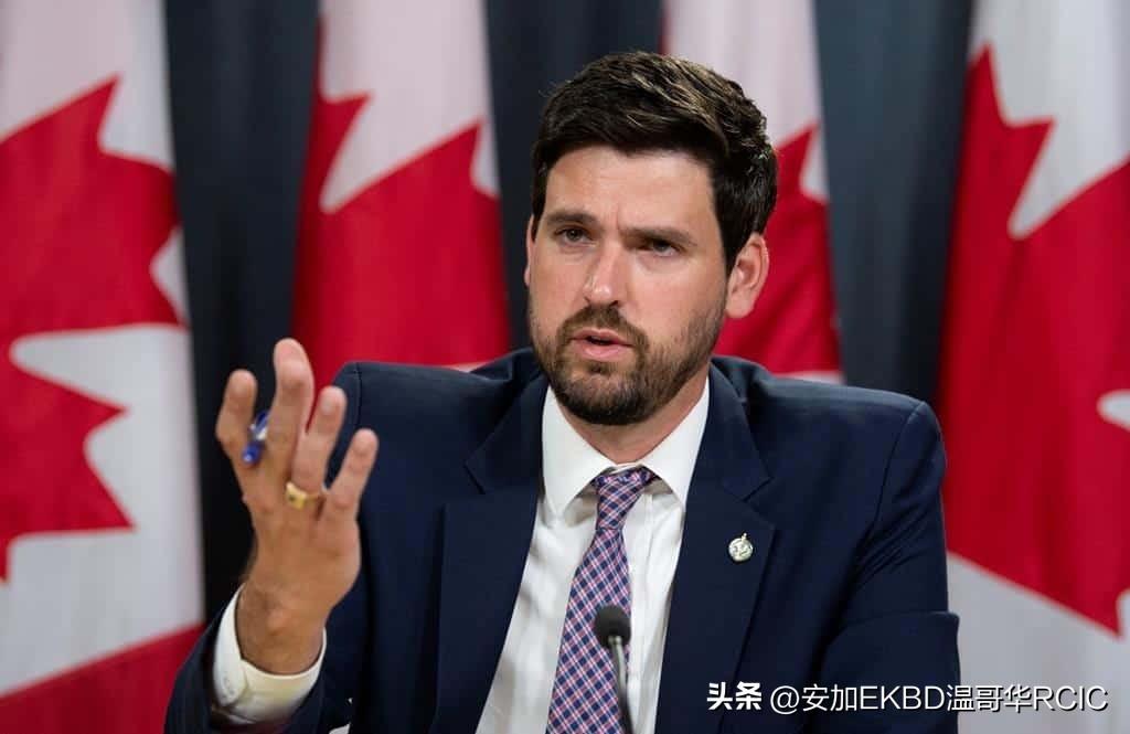 加拿大最新移民政策深度解析，探索小巷中的独特机遇