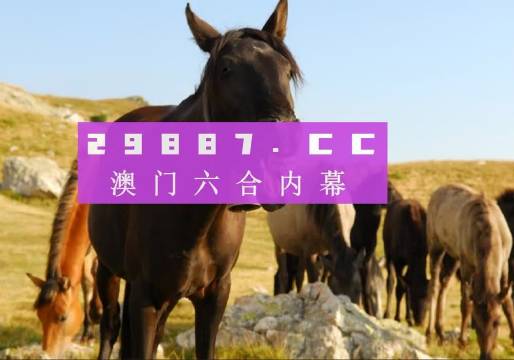 2024澳门管家婆最新资料,处于迅速响应执行_SFJ37.562共鸣版