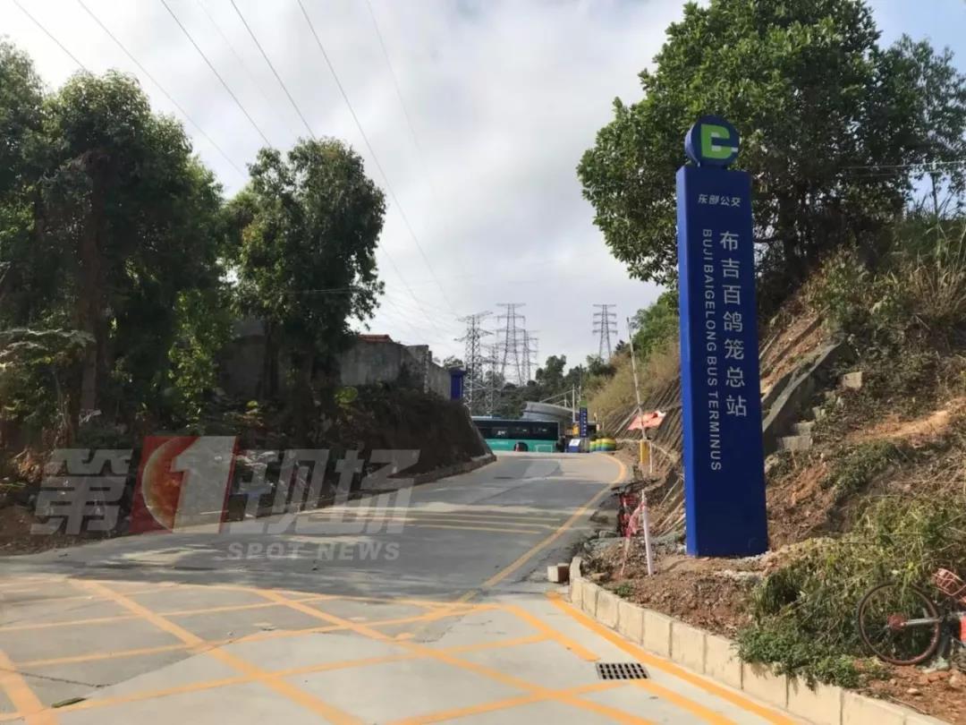 深圳最新司机招聘信息,深圳最新司机招聘信息，观点论述