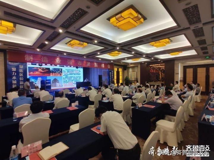 阳谷最新招聘信息，小巷中的职业机遇