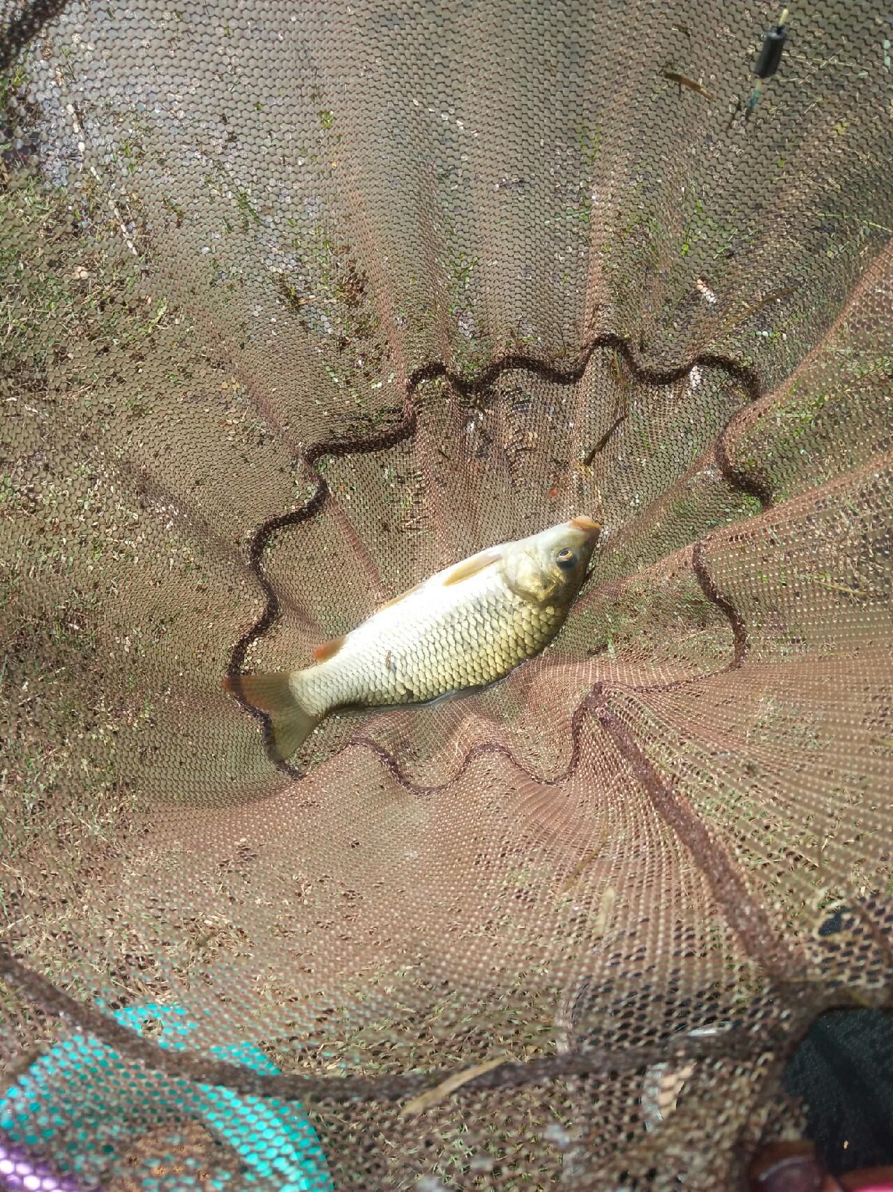 云南暴雨最新消息,云南暴雨最新消息——风雨中的励志故事，自信与成就感的源泉