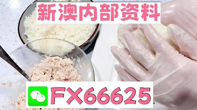 新澳资彩长期免费资料水果奶奶,决策信息解释_BBU83.219创意版