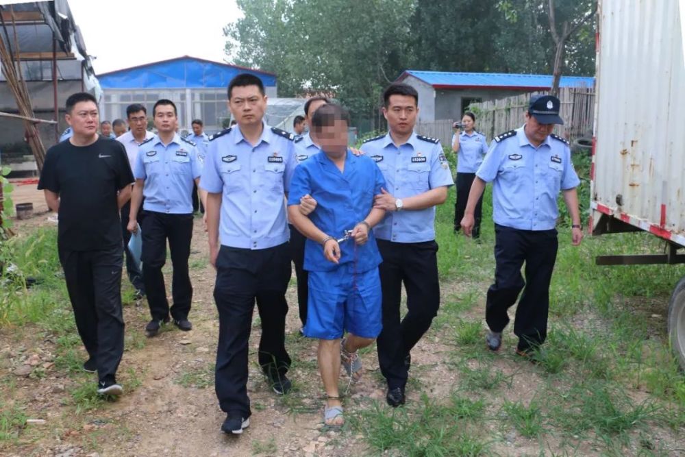 莒南最新案件概览，最新动态及案件分析