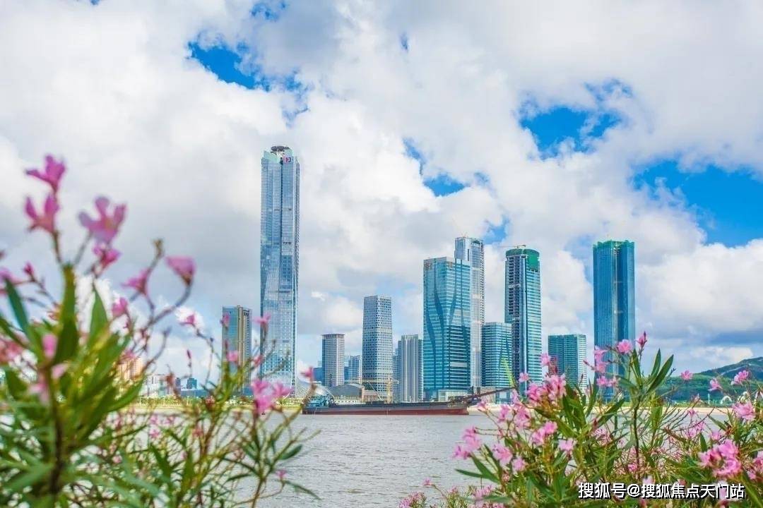 新澳门芳草地内部资料精准大全,经济效益_WGR83.758透明版