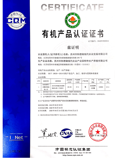 2024澳门今天特马开什么,实地验证研究方案_EWS83.954温馨版