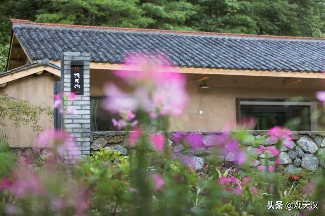 内蒙古最新新闻，探寻心灵之旅的奇迹，拥抱自然之美