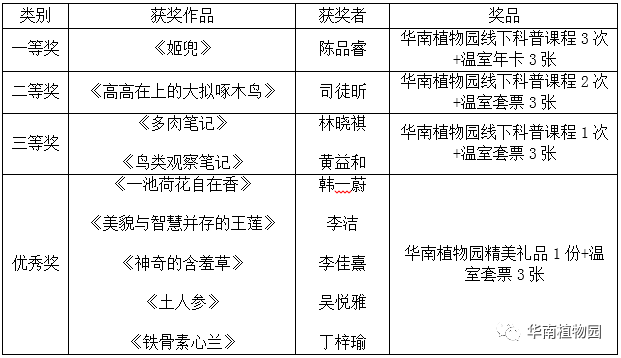 澳门4神四肖,实地观察解释定义_MGW77.642精选版