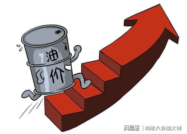 汽油涨价动态，机遇与挑战并存，成就感的源泉之路