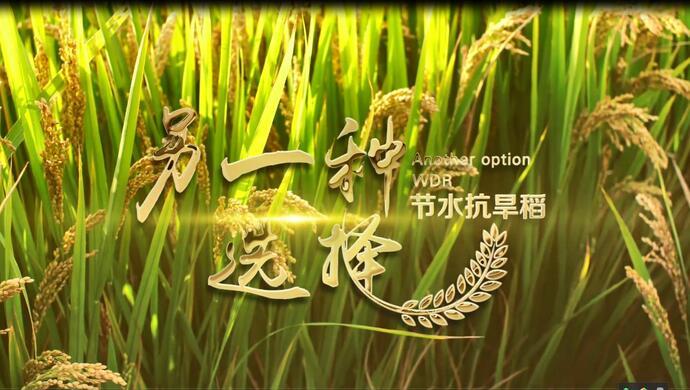 欧豪最新照片，科技潮流新宠儿，展现前沿科技魅力