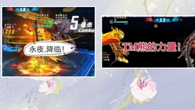 第3291页