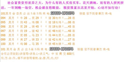 2024新澳门今天晚上开什么生肖,平衡执行计划实施_GLY27.976设计师版
