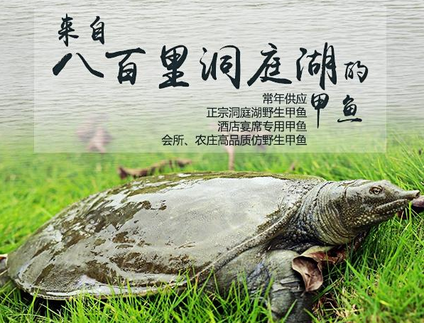 观点阐述 第4页