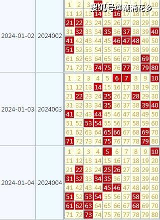 二四六天天彩资料免费大全24,全身心数据指导枕_UJT81.891L版