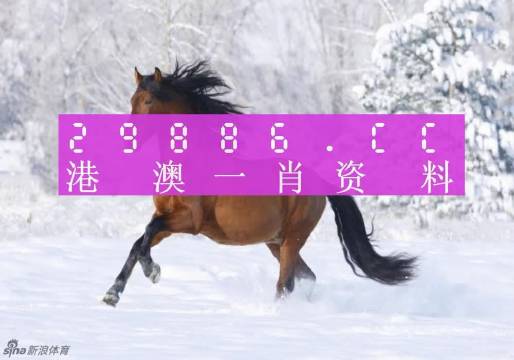 2024新澳门彩生肖走势图,即时解答解析分析_WYB81.995UHD