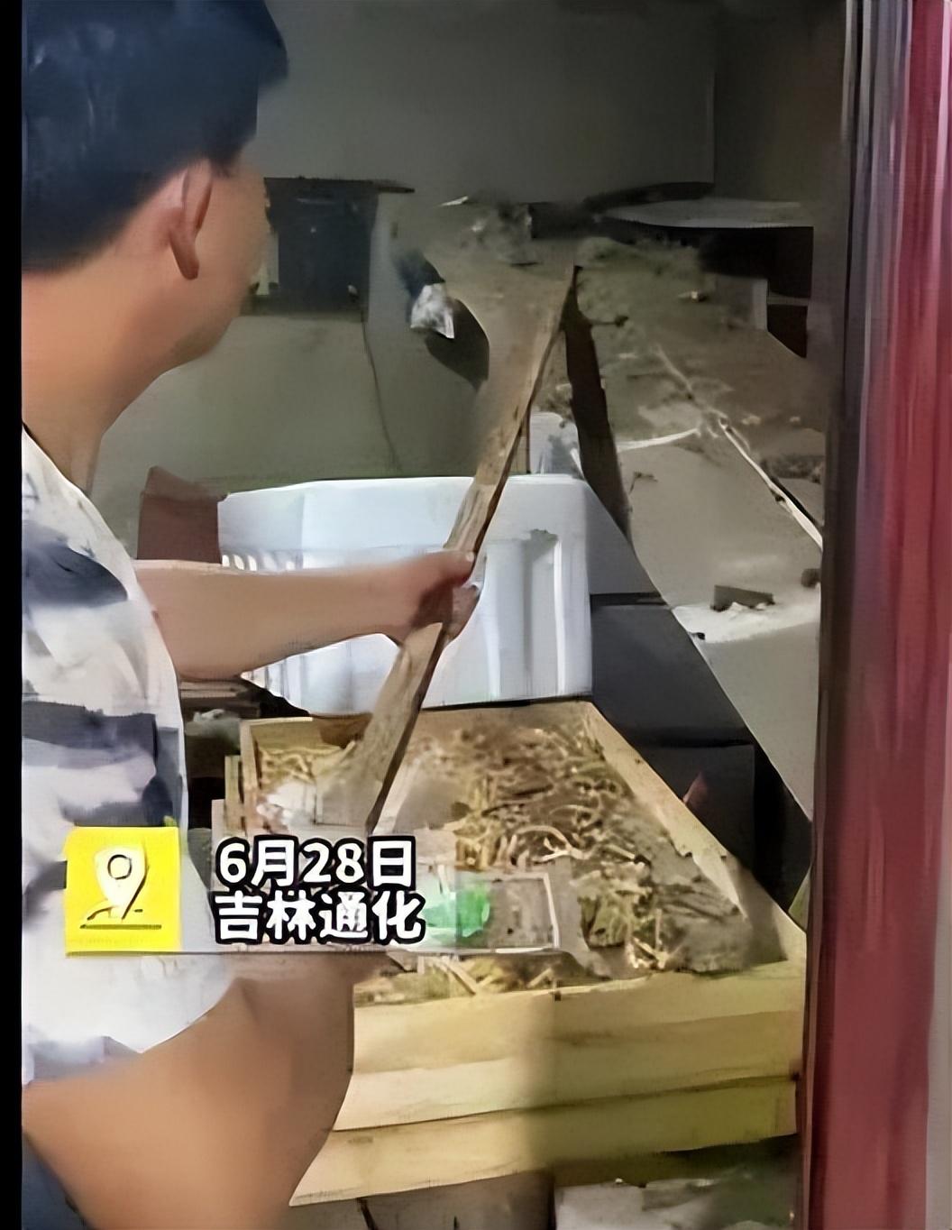 最新野外激战视频，视觉盛宴与观点碰撞的战斗瞬间