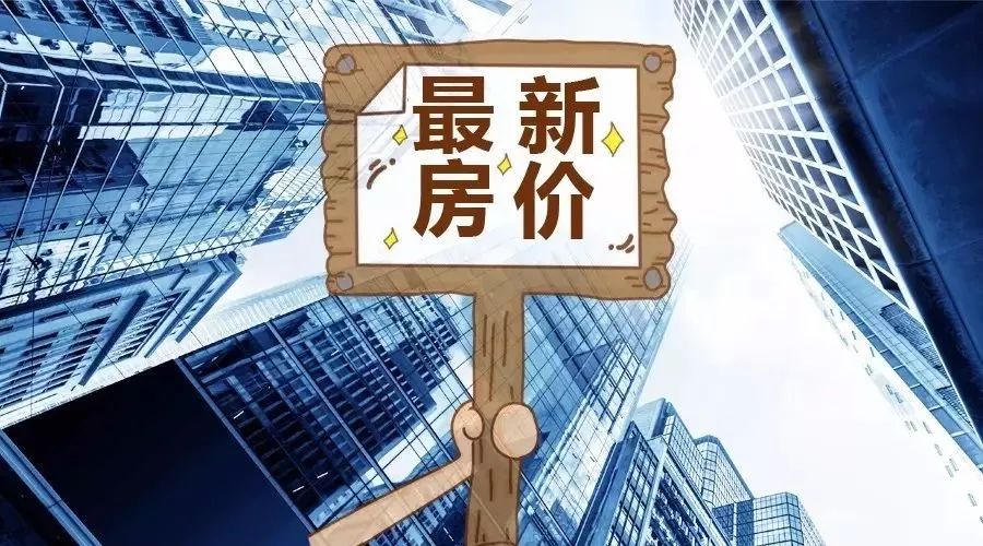 79456濠江论坛最新版本,实地数据评估分析_CLD81.272资源版