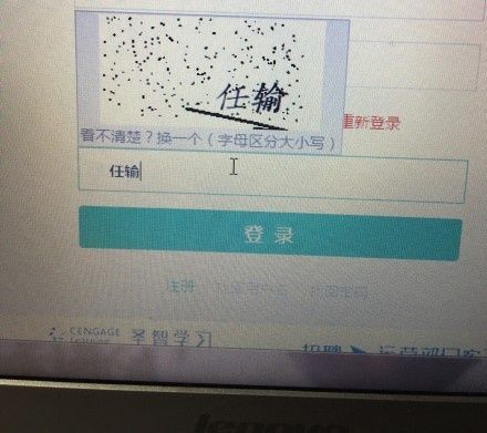 新奥好彩免费资料大全,实地验证研究方案_OPH81.338未来科技版
