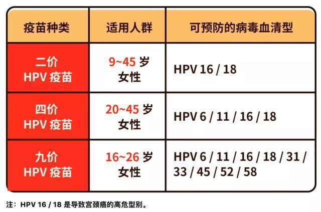 2024新奥全年资料免费公开,快速解决方式指南_TAD81.257安静版
