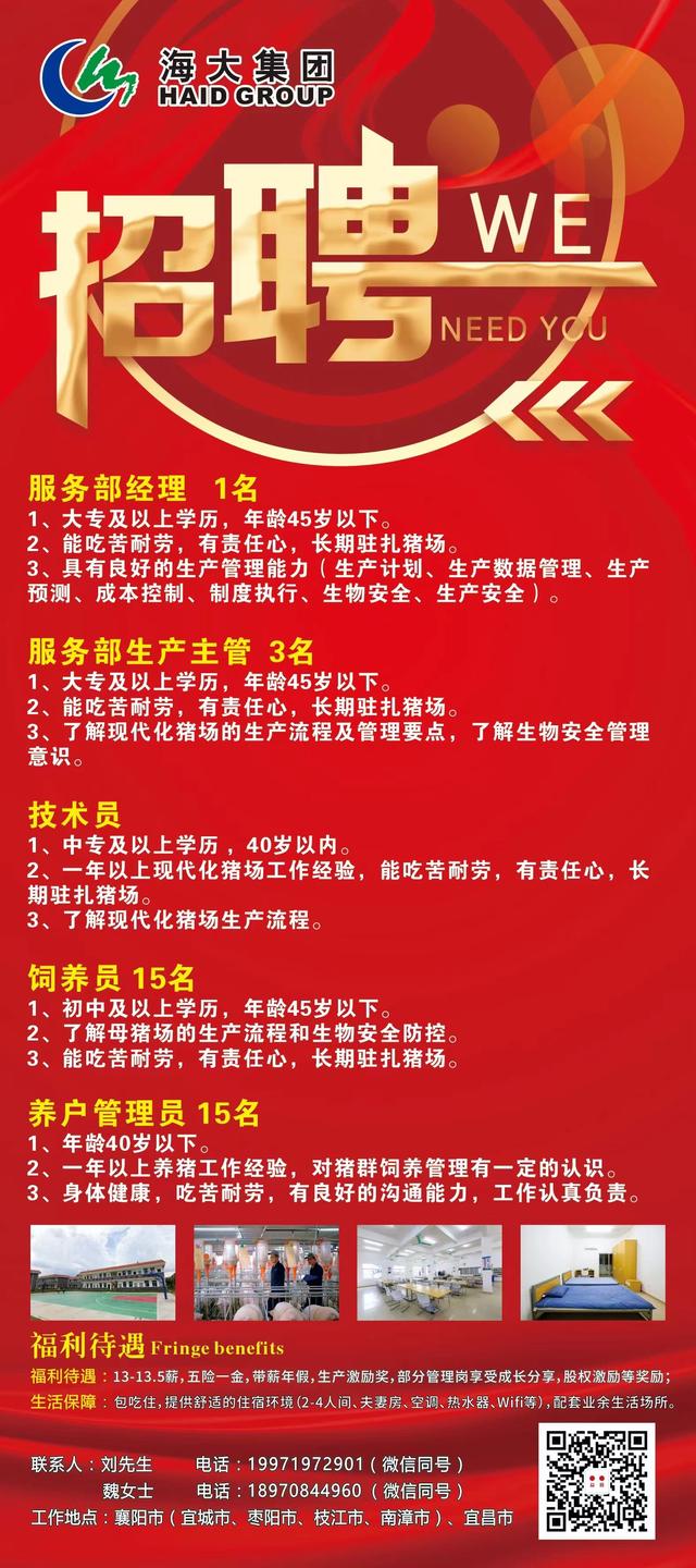 庆云最新招聘启航，探索自然美景，寻找内心宁静之旅