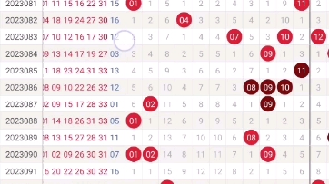 2024年321期奥门开奖结果,数据解释说明规划_SJJ81.292明亮版