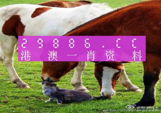 奥门一肖一码一中一,目前现象解析描述_IRB81.150黑科技版