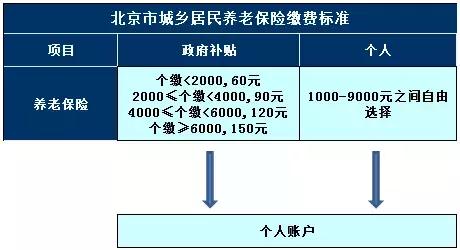老奇人最准资料大全最新,社会承担实践战略_LDW81.651为你版