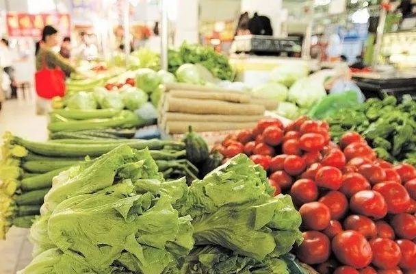 徐州蔬菜批发最新价格概览，最新市场动态与价格信息解析