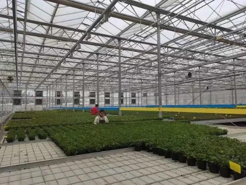 双清区最新任免干部,双清区最新任免干部，小巷中的惊喜——一家特色小店的探索之旅
