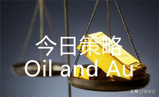 下周黄金走势展望，最新分析与揭秘行情🌟