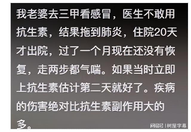 网络骂人词语更新，友情碰撞下的冲突与反思