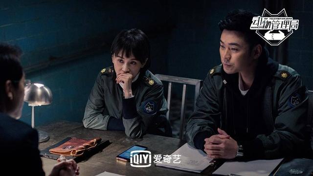 奇怪的搭档，最新预告揭秘，变化中的学习之旅与自信成就感的碰撞