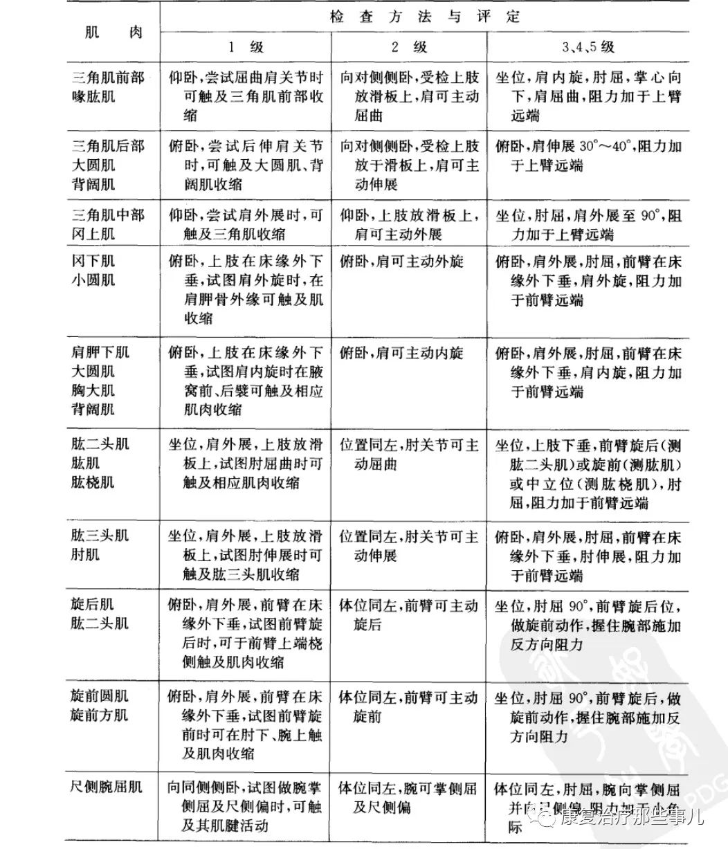 最新肌力分级标准，理解、应用与实际操作指南